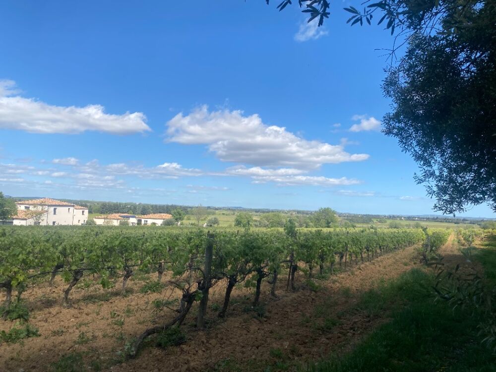 vente Terrain - 450 m² Ginestas (11120)