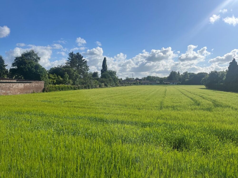 vente Maison - 5 pièce(s) - 90 m² Labourse (62113)