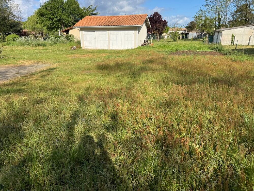 vente Terrain - 850 m² Lesparre-Médoc (33340)