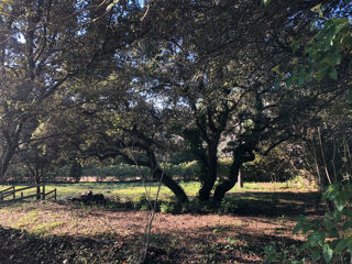  Terrain � vendre 870 m�