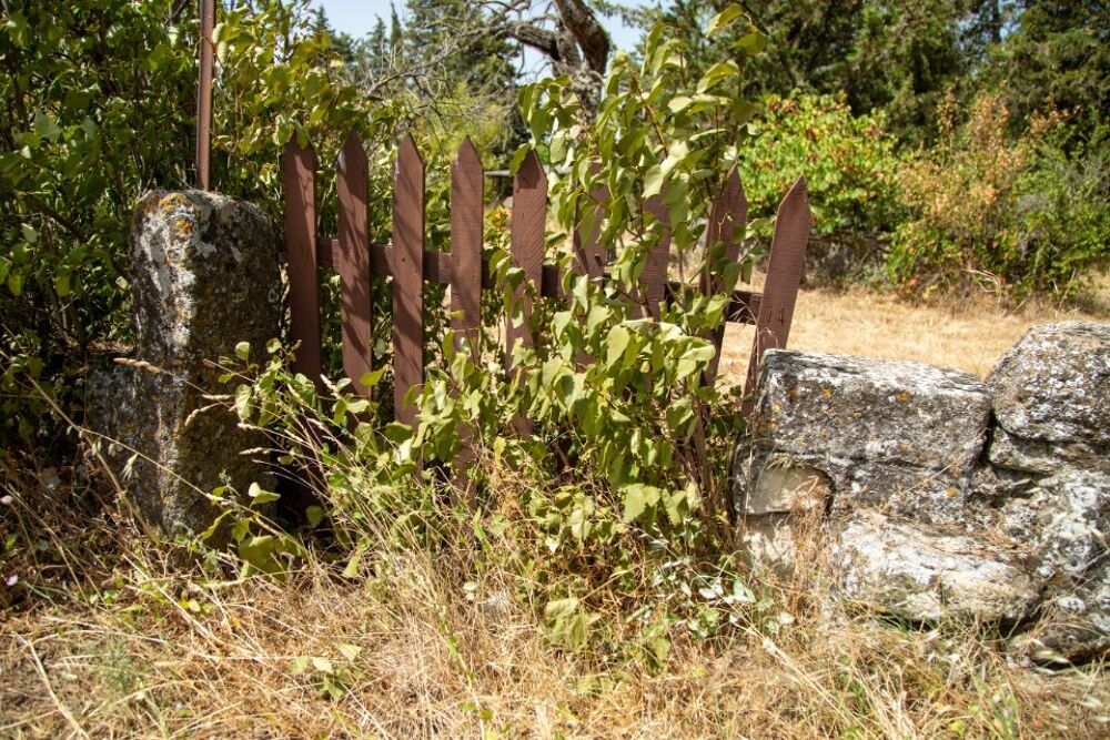 vente Terrain - 751 m² Grillon (84600)