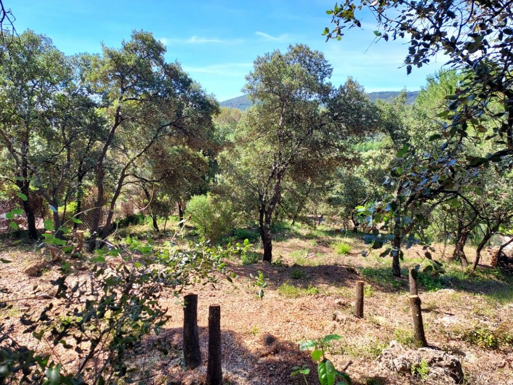 vente Maison - 4 pièce(s) - 90 m² Sainte-Anastasie-sur-Issole (83136)