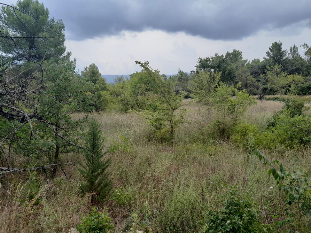 vente Maison - 4 pièce(s) - 80 m² Montfrin (30490)