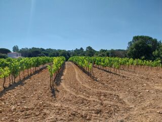  Maison 5 pi�ces 90 m� Cogolin