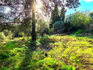  Terrain � vendre 2151 m�