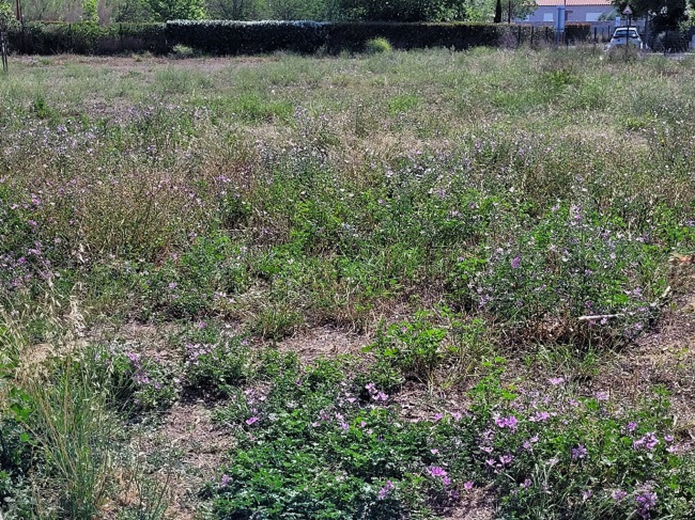 vente Terrain - 728 m² Pia (66380)