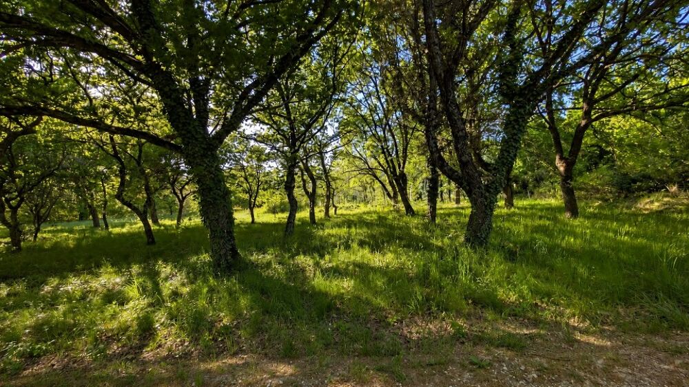 vente Terrain - 1200 m² Le Poët-Laval (26160)