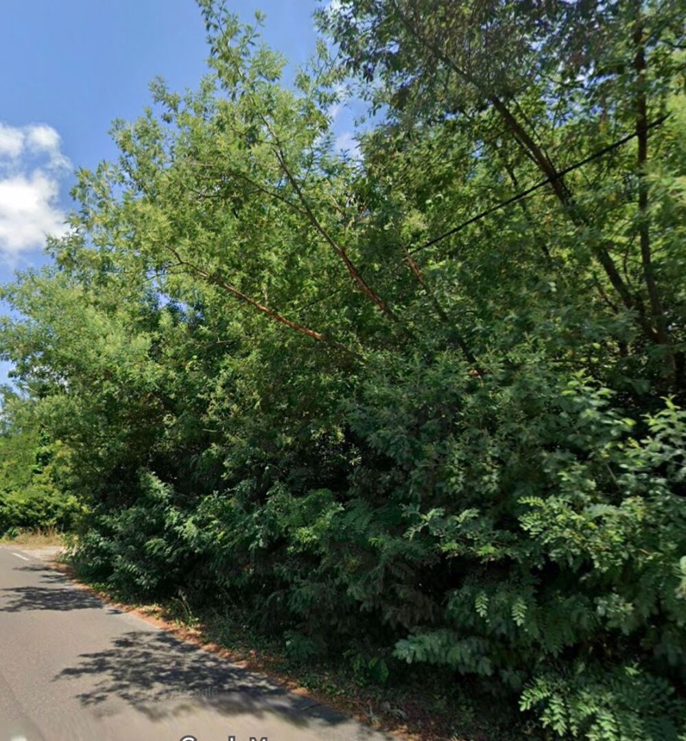 vente Terrain - 1715 m� Eysines (33320)