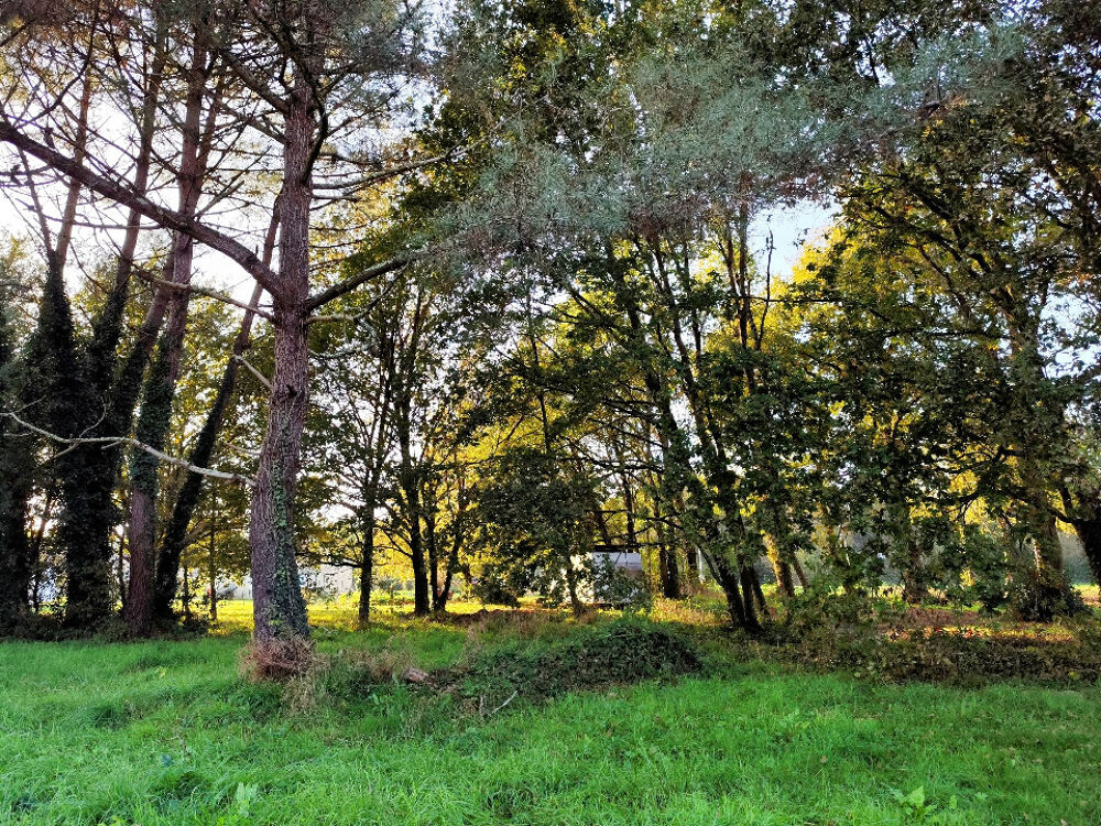 vente Terrain - 870 m� Saint-Sauveur (33250)