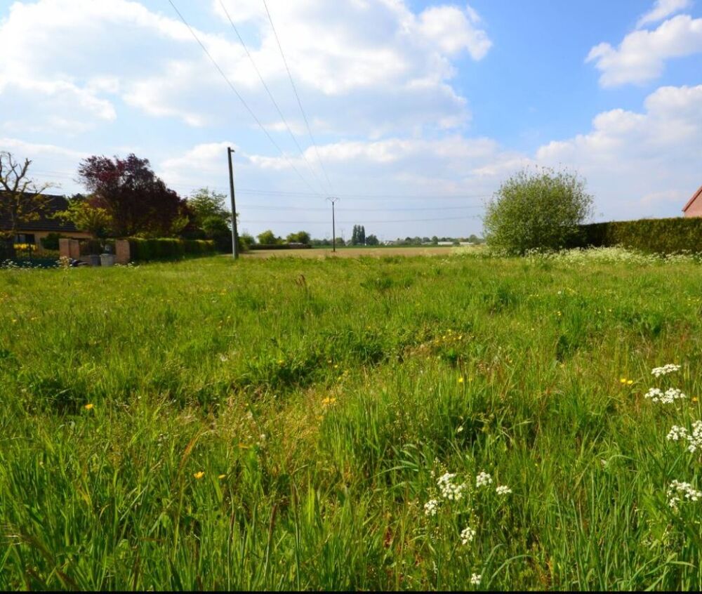 vente Maison - 5 pièce(s) - 85 m² Orchies (59310)