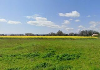  Terrain � vendre 310 m�