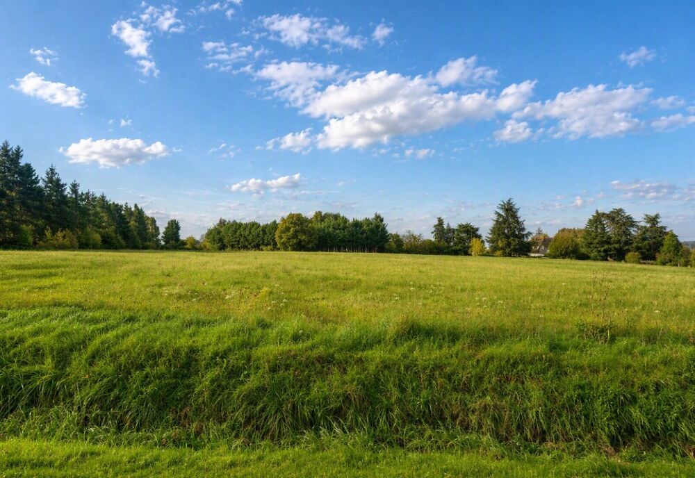 vente Terrain - 340 m² Mettray (37390)