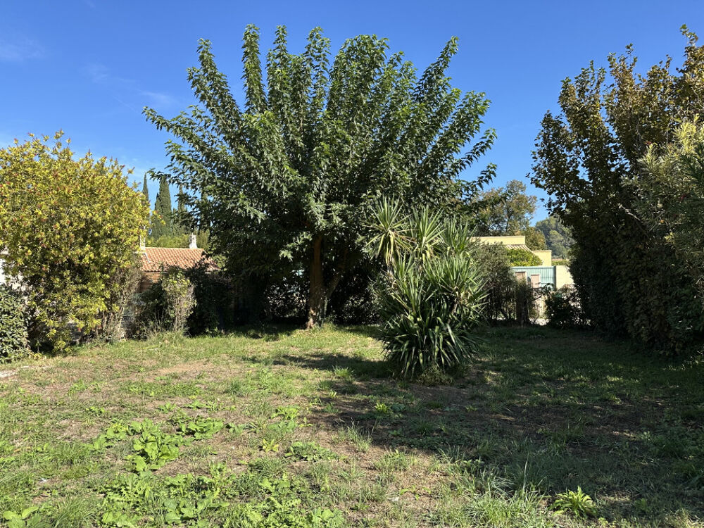 vente Terrain - 240 m² Solliès-Toucas (83210)