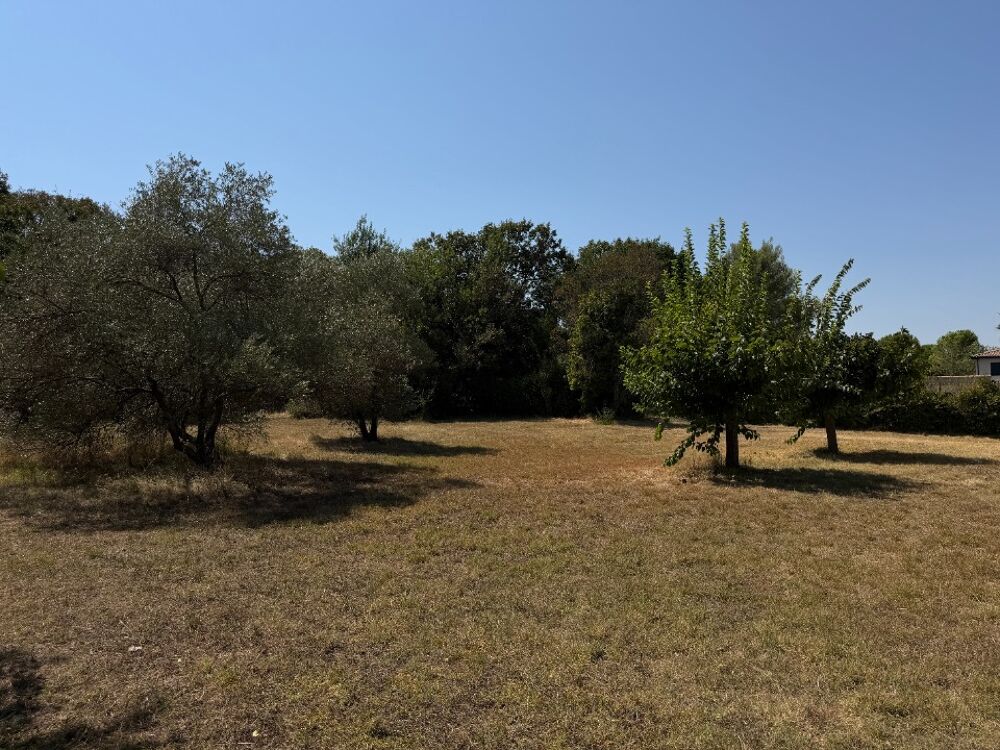 vente Maison - 3 pièce(s) - 60 m² Saint-Jean-de-Cornies (34160)