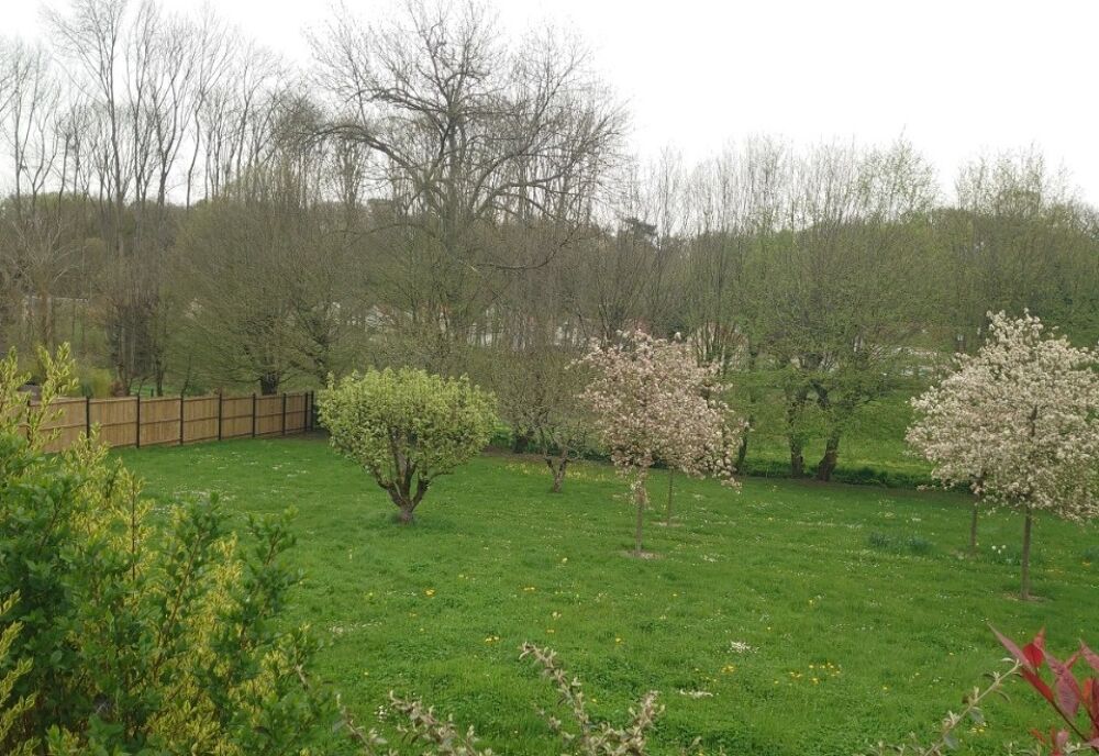vente Terrain - 650 m² Marly-le-Roi (78160)