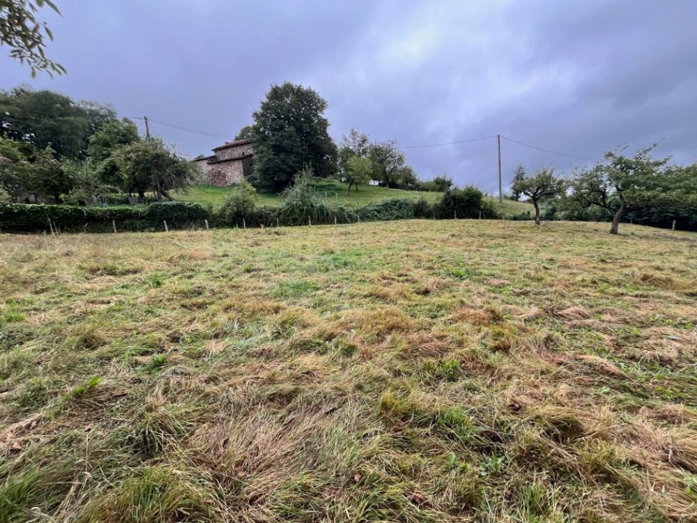 vente Terrain - 2011 m² Boisset (15600)