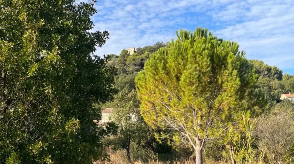 vente Terrain - 310 m² Rognes (13840)