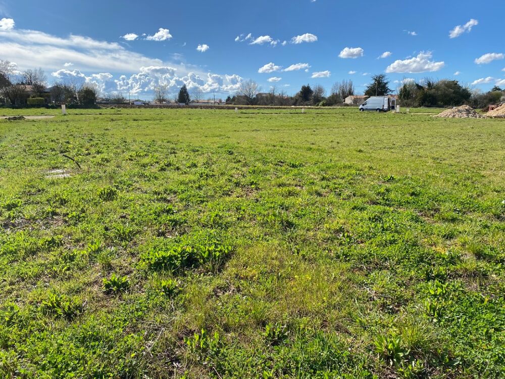 vente Terrain - 341 m² Ballon (17290)