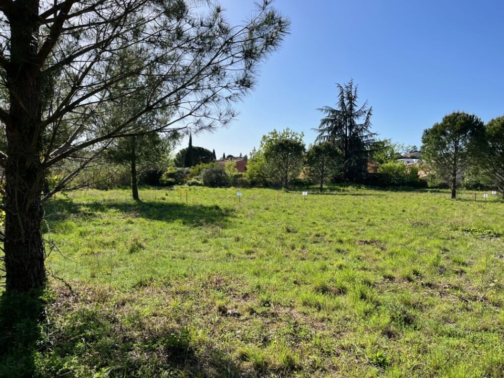 vente Terrain - 446 m² Caromb (84330)