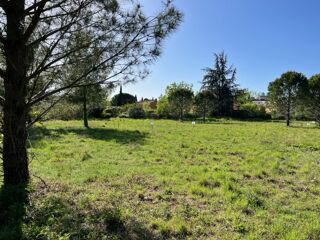  Terrain à vendre 446 m²