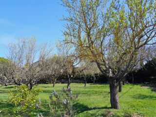  Terrain 600 m Brignoles