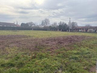  Terrain 800 m� Finhan