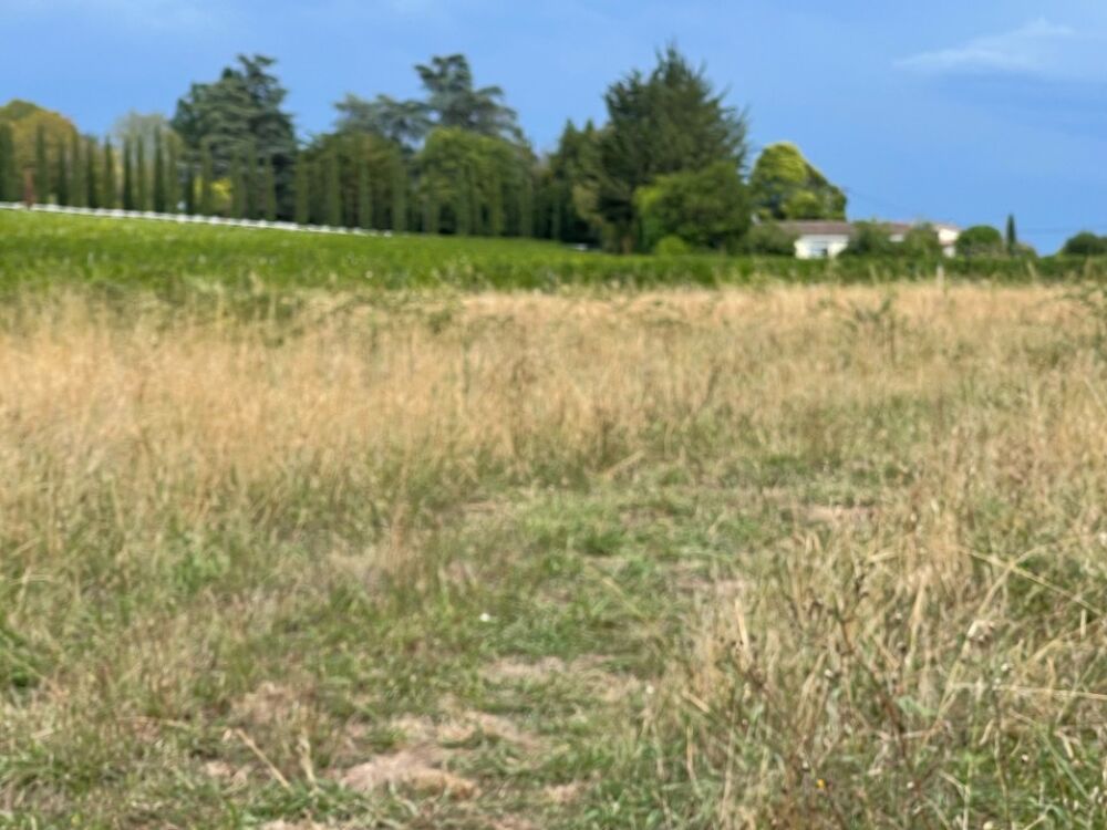 vente Terrain - 669 m² Camblanes-et-Meynac (33360)