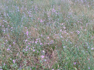  Terrain � vendre 300 m�