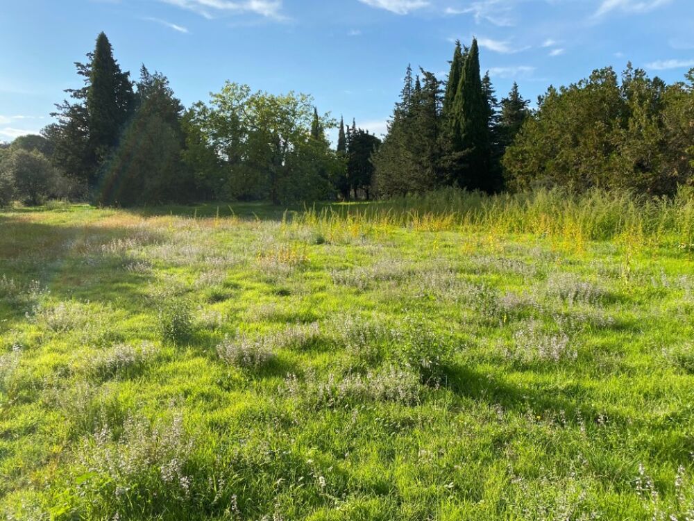 vente Maison - 4 pièce(s) - 93 m² Grillon (84600)