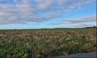  Terrain � vendre 300 m�