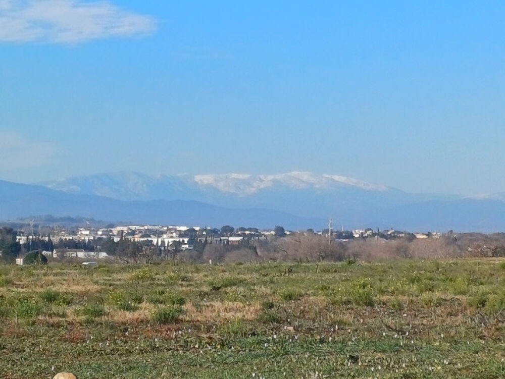 vente Terrain - 550 m² Villeneuve-de-la-Raho (66180)