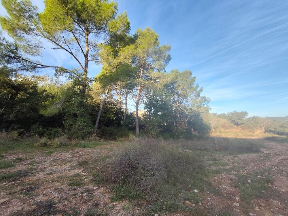 vente Maison - 5 pièce(s) - 155 m² Vidauban (83550)