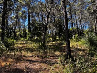  Maison 4 pi�ces 83 m� Fr�jus