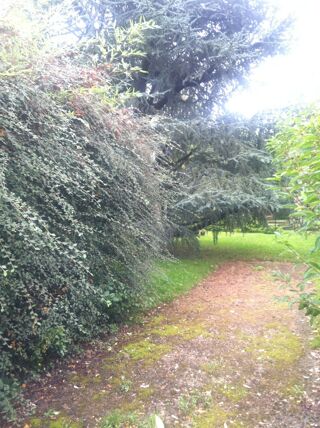  Maison � vendre 6 pi�ces 140 m�