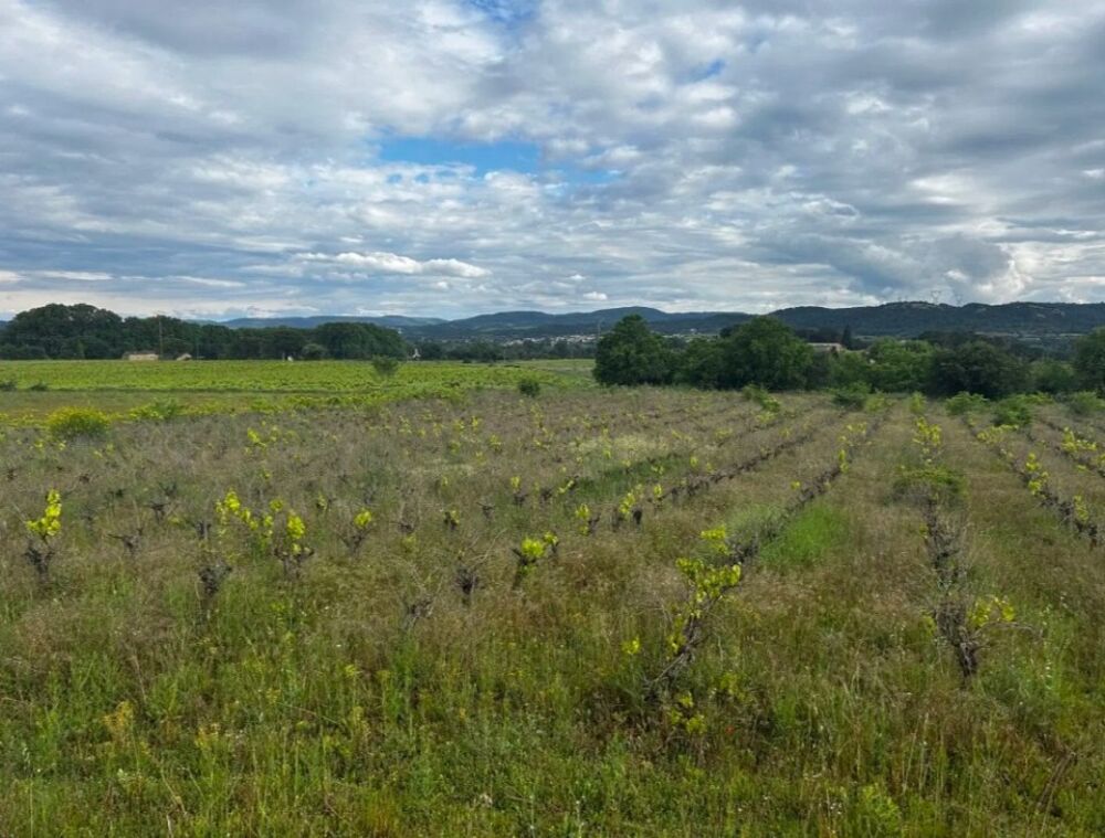 vente Terrain - 401 m² Sabran (30200)