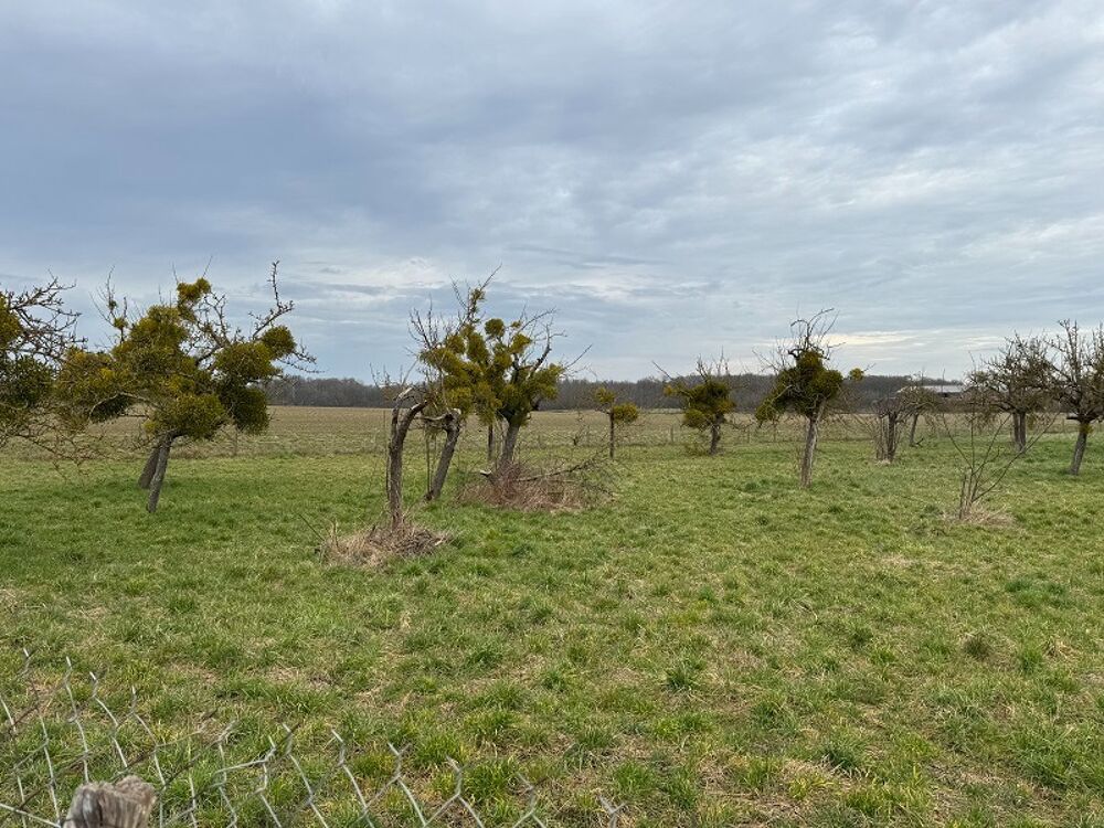 vente Terrain - 500 m� B� (28410)