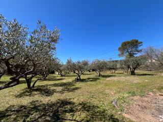  Terrain à vendre 1050 m²
