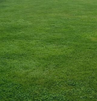  Terrain 500 m² Le crotoy