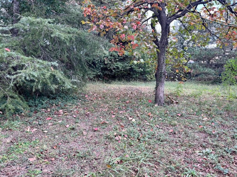 vente Terrain - 1534 m² Saint-Rémy-de-Provence (13210)