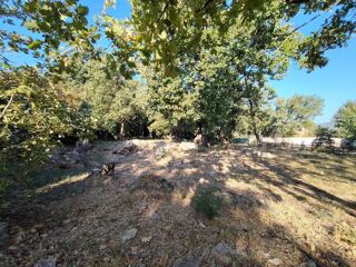  Terrain à vendre 981 m²