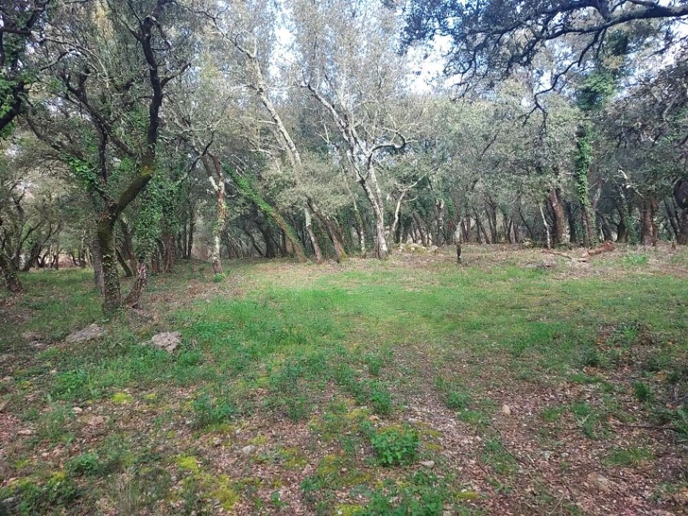 vente Terrain - 1900 m² Sainte-Anastasie-sur-Issole (83136)