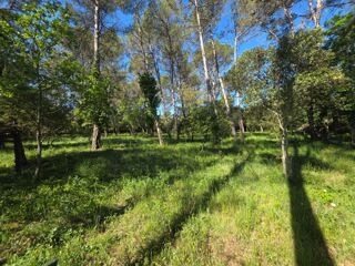  Terrain à vendre 874 m²