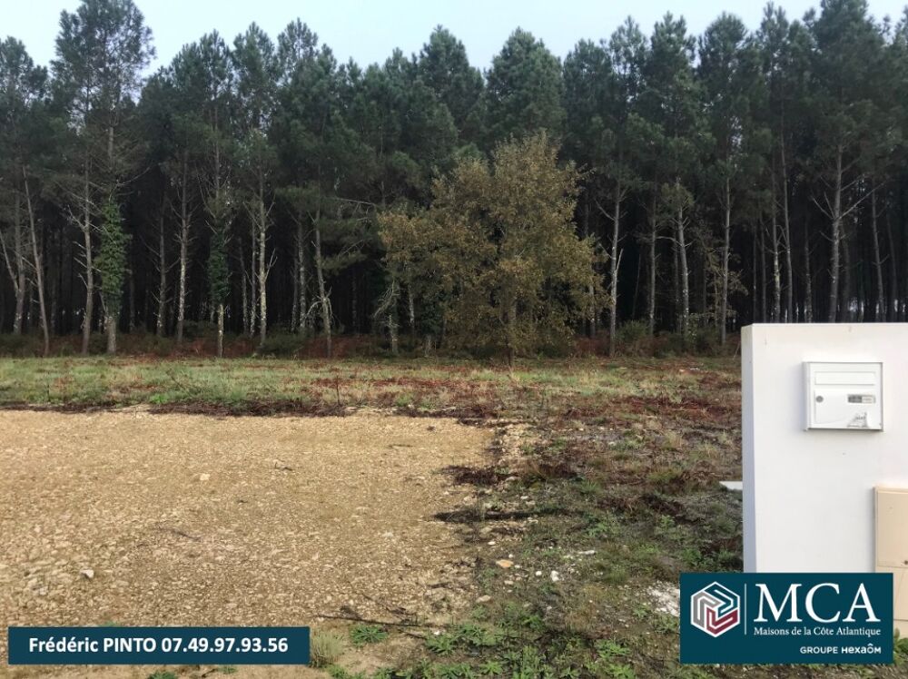 vente Terrain - 706 m² Saint-Martin-d'Oney (40090)