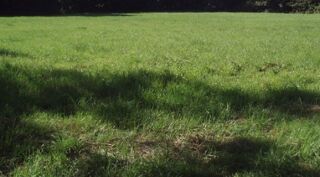  Terrain � vendre 750 m�