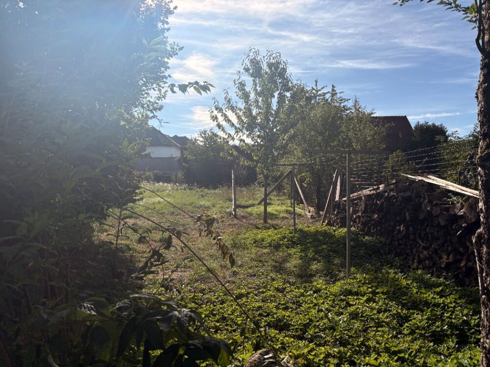 vente Terrain - 1180 m² Werentzhouse (68480)