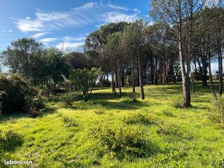  Maison 7 pi�ces 180 m� Grimaud