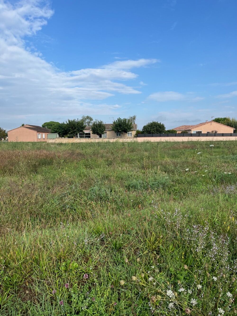 vente Maison - 6 pièce(s) - 186 m² Gaillac (81600)