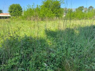  Maison � vendre 6 pi�ces 300 m�