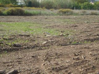  Terrain � vendre 395 m�