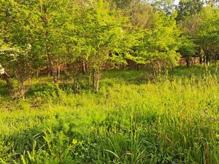  Maison � vendre 5 pi�ces 90 m�